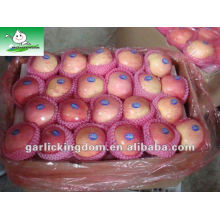 Fuji Apple (18kg carton, 125-138-150PCS)